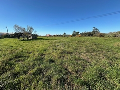 Terreno Rstico T0 - Aljubarrota, Alcobaa, Leiria - Miniatura: 6/24