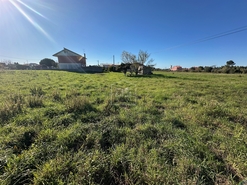 Terreno Rstico T0 - Aljubarrota, Alcobaa, Leiria - Miniatura: 7/24
