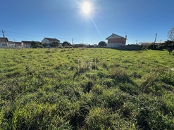 Terreno Rstico T0 - Aljubarrota, Alcobaa, Leiria - Miniatura: 8/24