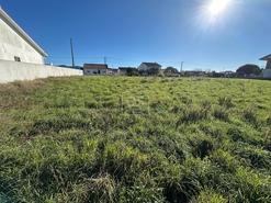 Terreno Rstico T0 - Aljubarrota, Alcobaa, Leiria - Miniatura: 9/24