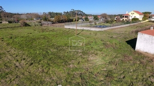 Terreno Rstico T0 - Aljubarrota, Alcobaa, Leiria - Miniatura: 10/24