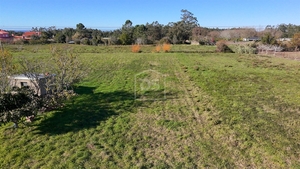 Terreno Rstico T0 - Aljubarrota, Alcobaa, Leiria - Miniatura: 12/24