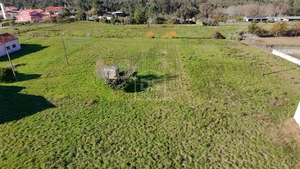 Terreno Rstico T0 - Aljubarrota, Alcobaa, Leiria - Miniatura: 13/24