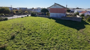 Terreno Rstico T0 - Aljubarrota, Alcobaa, Leiria - Miniatura: 16/24