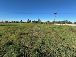 Terreno Rstico T0 - Aljubarrota, Alcobaa, Leiria - Miniatura: 24/24