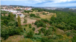 Terreno Urbano T0 - Brrio, Alcobaa, Leiria