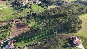 Terreno Urbano T0 - Alcobaa, Alcobaa, Leiria - Miniatura: 5/10