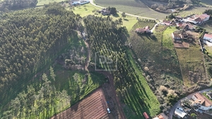 Terreno Urbano T0 - Alcobaa, Alcobaa, Leiria - Miniatura: 6/10