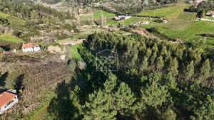 Terreno Urbano T0 - Alcobaa, Alcobaa, Leiria - Miniatura: 9/10