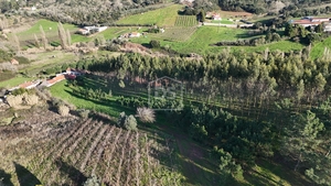 Terreno Urbano T0 - Alcobaa, Alcobaa, Leiria - Miniatura: 10/10