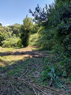 Terreno Urbano T0 - Brrio, Alcobaa, Leiria - Miniatura: 6/6