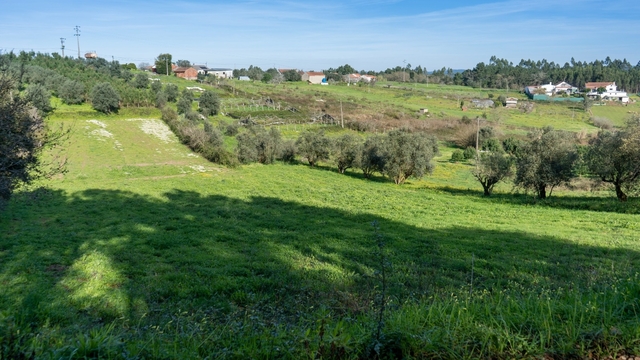 Terreno Rústico T0 - Parceiros, Leiria, Leiria - Imagem grande