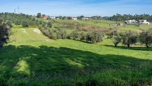 Terreno Rstico T0 - Parceiros, Leiria, Leiria