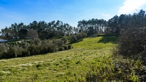 Terreno Rstico T0 - Parceiros, Leiria, Leiria - Miniatura: 3/13