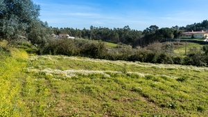 Terreno Rstico T0 - Parceiros, Leiria, Leiria - Miniatura: 4/13