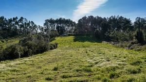 Terreno Rstico T0 - Parceiros, Leiria, Leiria - Miniatura: 5/13