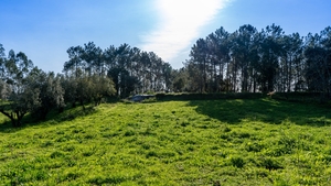 Terreno Rstico T0 - Parceiros, Leiria, Leiria - Miniatura: 6/13