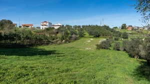 Terreno Rstico T0 - Parceiros, Leiria, Leiria - Miniatura: 7/13