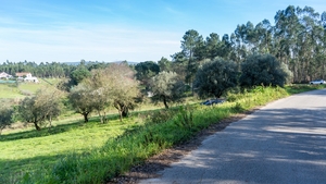 Terreno Rstico T0 - Parceiros, Leiria, Leiria - Miniatura: 8/13