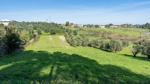 Terreno Rstico T0 - Parceiros, Leiria, Leiria - Miniatura: 9/13