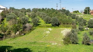 Terreno Rstico T0 - Parceiros, Leiria, Leiria - Miniatura: 10/13
