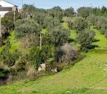Terreno Rstico T0 - Parceiros, Leiria, Leiria - Miniatura: 11/13