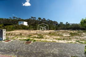 Terreno R�stico T0 - Carri�o, Pombal, Leiria - Miniatura: 6/24