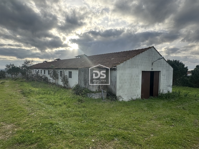 Terreno Urbano T0 - Colmeias, Leiria, Leiria - Imagem grande