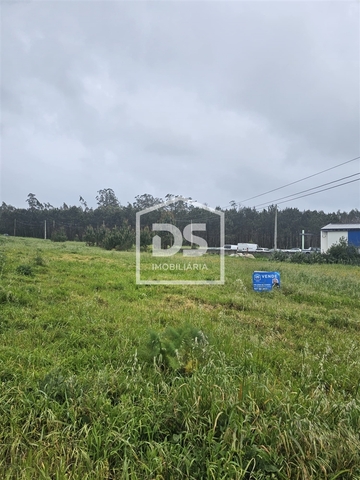 Terreno Rstico T0 - Carrio, Pombal, Leiria - Imagem grande