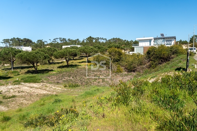 Terreno R�stico T0 - S�o Mamede, Batalha, Leiria - Imagem grande