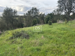 Terreno Urbano T0 - Colmeias, Leiria, Leiria - Miniatura: 14/18