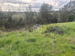 Terreno Urbano T0 - Colmeias, Leiria, Leiria - Miniatura: 15/18