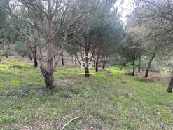 Terreno Urbano T0 - Colmeias, Leiria, Leiria - Miniatura: 16/18