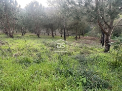 Terreno Urbano T0 - Colmeias, Leiria, Leiria - Miniatura: 17/18