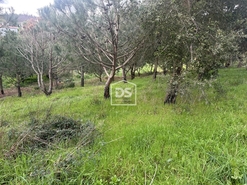 Terreno Urbano T0 - Colmeias, Leiria, Leiria - Miniatura: 18/18