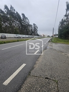 Terreno Rstico T0 - Carrio, Pombal, Leiria - Miniatura: 6/11