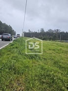 Terreno Rstico T0 - Carrio, Pombal, Leiria - Miniatura: 7/11