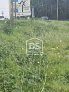 Terreno Rstico T0 - Carrio, Pombal, Leiria - Miniatura: 10/11