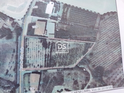 Terreno R�stico T0 - Porto de M�s, Porto de M�s, Leiria - Miniatura: 10/24