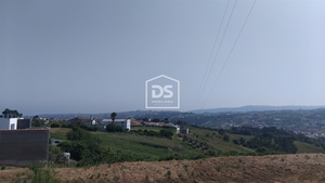 Terreno R�stico T0 - Porto de M�s, Porto de M�s, Leiria - Miniatura: 22/24