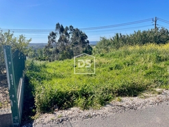 Terreno R�stico T0 - Aljubarrota, Alcoba�a, Leiria