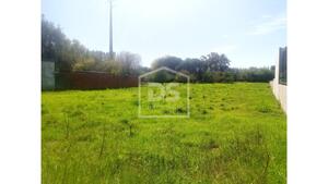 Terreno Rstico T0 - Marinha Grande, Marinha Grande, Leiria - Miniatura: 8/8