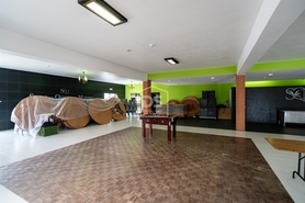 Bar/Restaurante T0 - Arrabal, Leiria, Leiria - Miniatura: 19/24