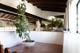 Moradia - Pombal, Pombal, Leiria - Miniatura: 19/24