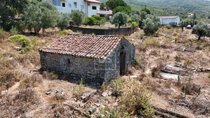 Terreno Urbano T0 - Porto de Ms, Porto de Ms, Leiria - Miniatura: 4/9