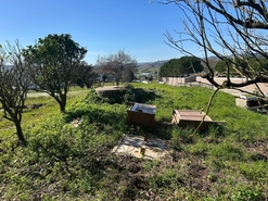 Moradia T3 - Cela, Alcoba�a, Leiria - Miniatura: 9/24