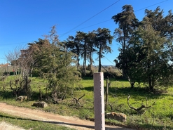 Moradia T3 - Cela, Alcoba�a, Leiria - Miniatura: 13/24