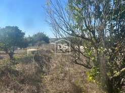 Moradia T3 - Cela, Alcoba�a, Leiria - Miniatura: 21/24