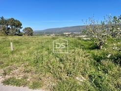 Terreno R�stico T0 - Aljubarrota, Alcoba�a, Leiria - Miniatura: 1/8