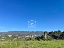 Terreno R�stico T0 - Aljubarrota, Alcoba�a, Leiria - Miniatura: 3/8